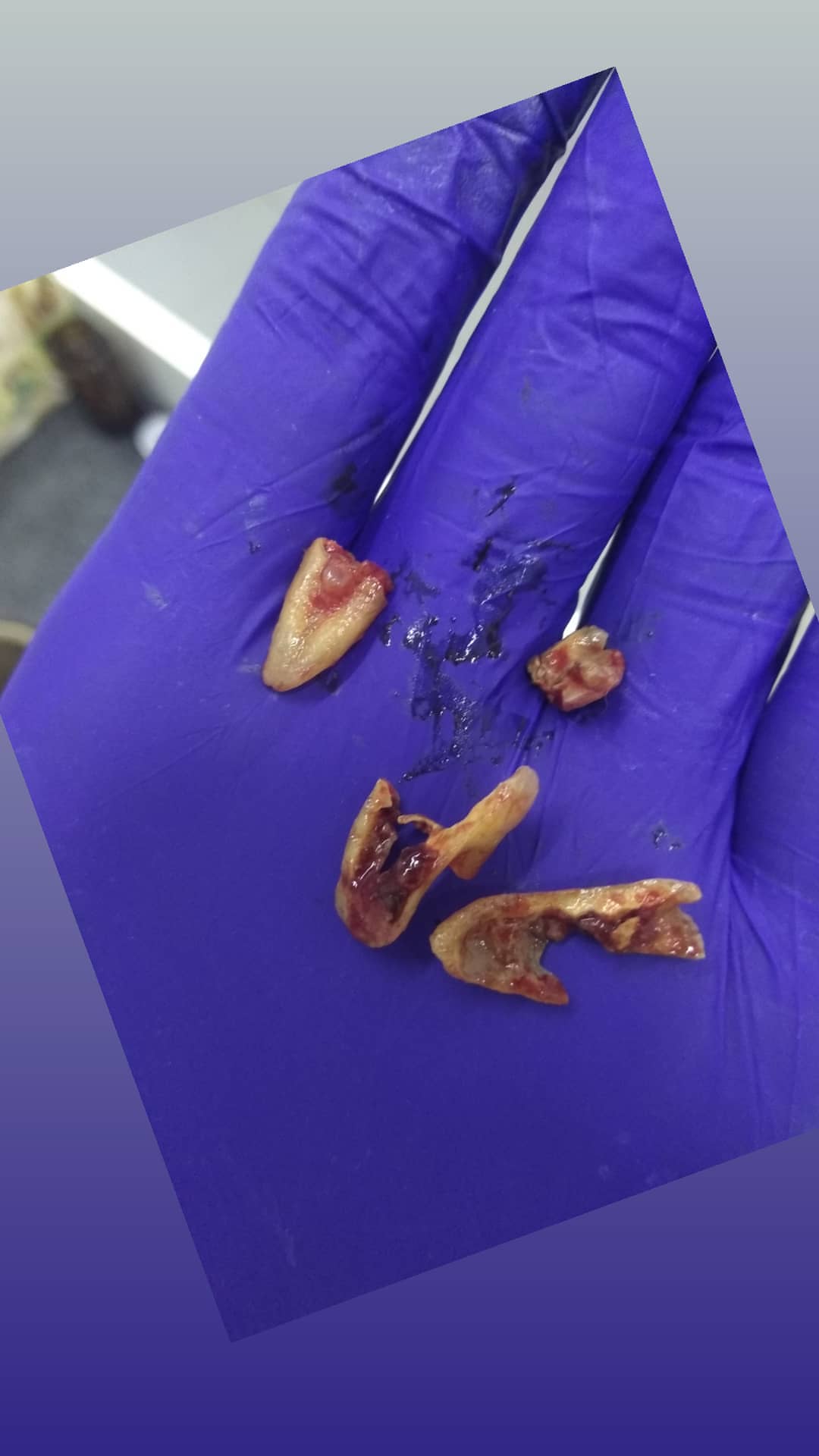 Бесплатная консультация